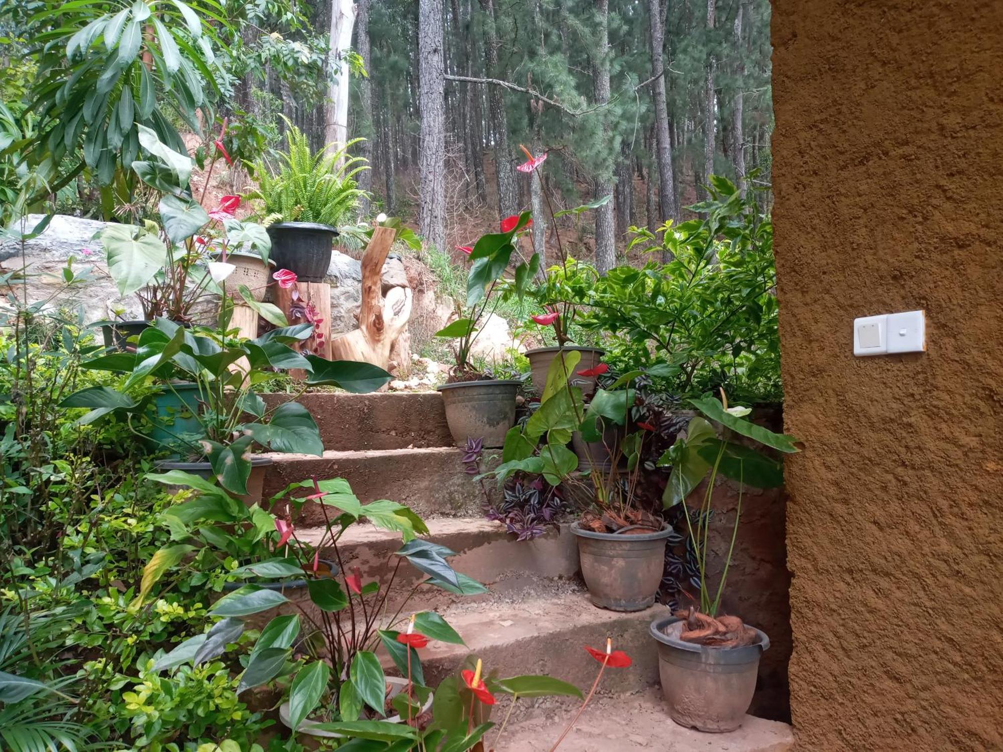 Nethsara Cottage เอลลา ภายนอก รูปภาพ