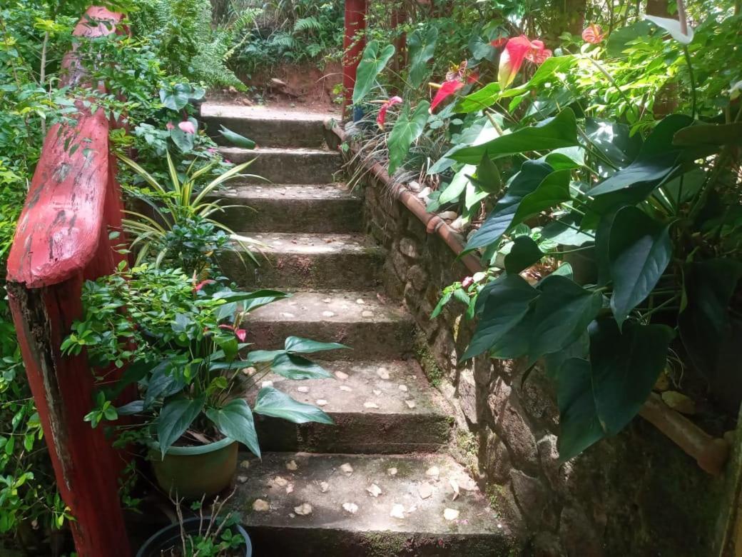 Nethsara Cottage เอลลา ภายนอก รูปภาพ